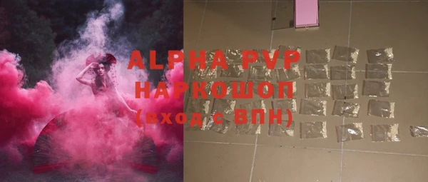 молекула духа Пересвет