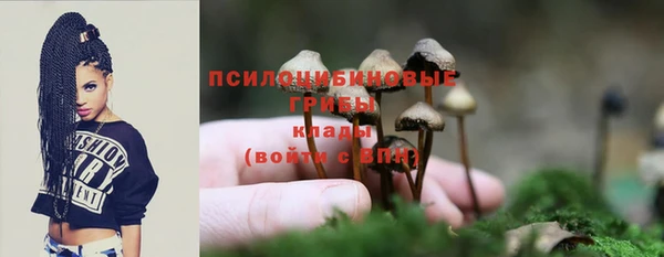 стаф Пестово