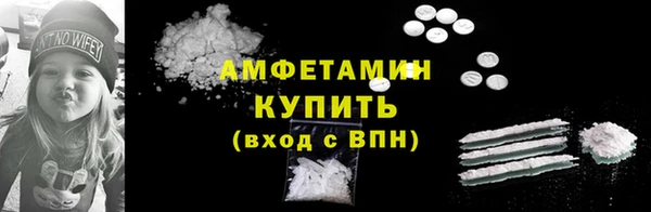 молекула духа Пересвет