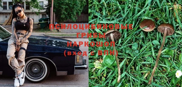 стаф Пестово