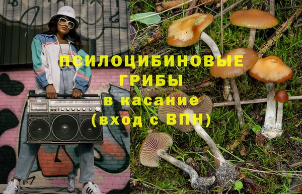 стаф Пестово