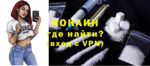 молекула духа Пересвет