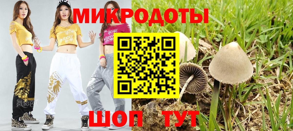 Псилоцибиновые грибы MAGIC MUSHROOMS  Вход с VPN  где купить наркоту  Реутов 