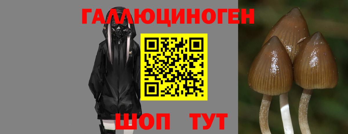 Псилоцибиновые грибы Magic Shrooms Реутов